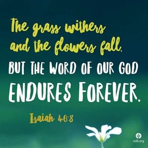 Meet your Posher, Derrenna